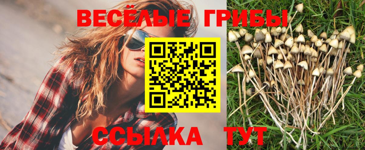 Дальнегорск  Псилоцибиновые грибы Magic Shrooms  Галлюциногенные грибы GOLDEN TEACHER  Вход с VPN 