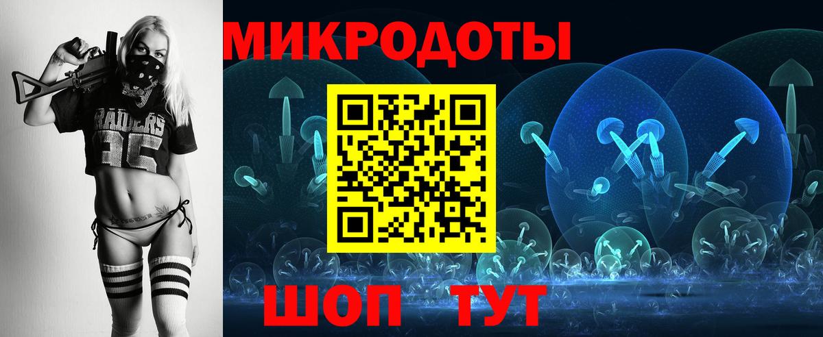 Псилоцибиновые грибы Psilocybe Дальнегорск